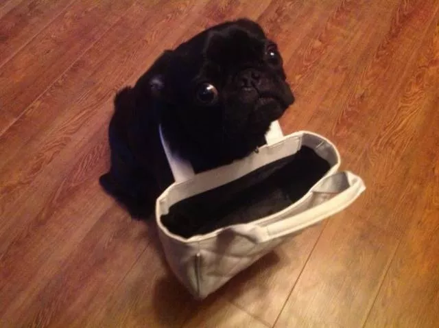 You have probably experienced one of these worst situations - #13 