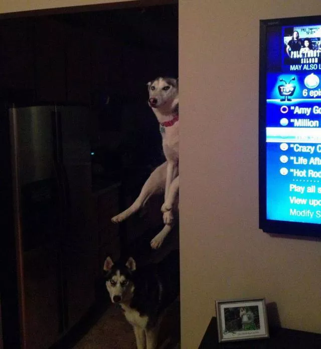 Picdump 287 - #22 
