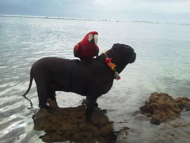 Picdump 287 - #87 