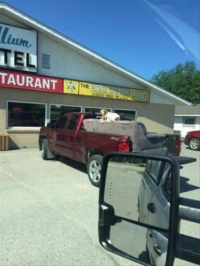 Picdump 287 - #94 