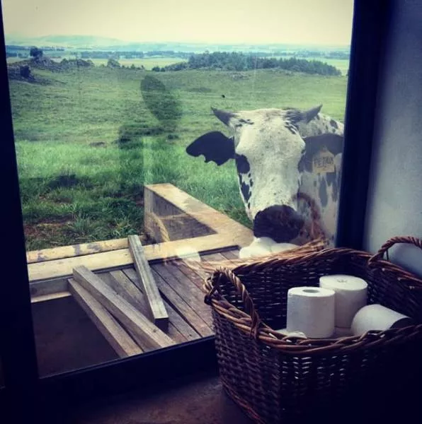 The most exciting bathrooms in the world - #26 