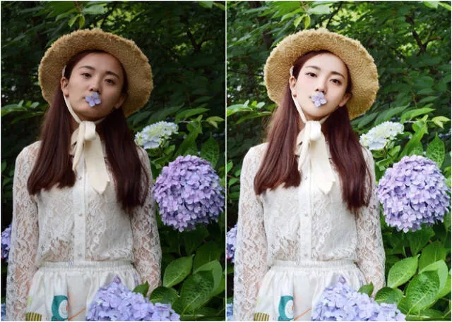 The art of photo editing and its excesses - #4 