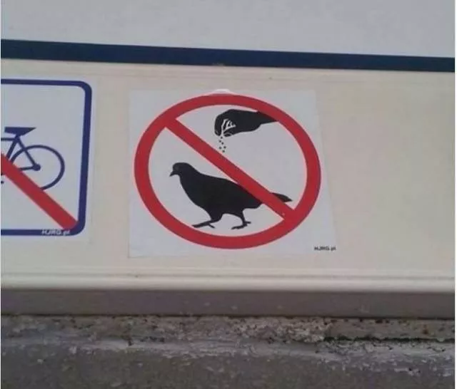 Les meilleurs fails de la semaine en images - #11 