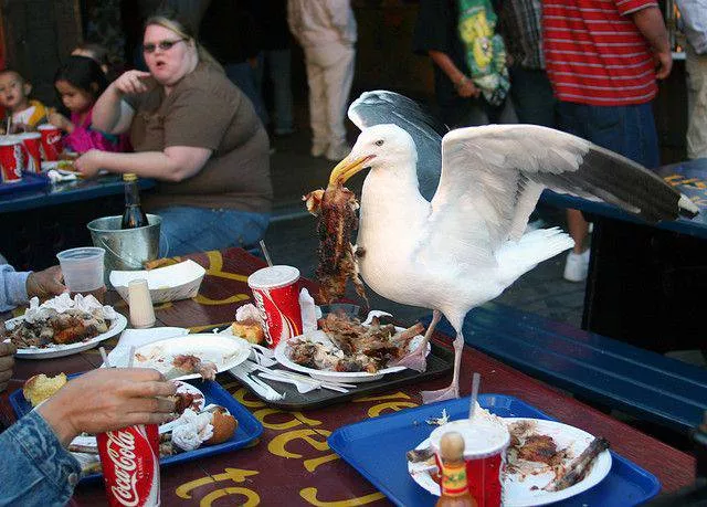 Picdump 54 - #13 