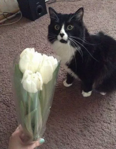 Picdump 54 - #19 