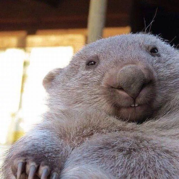 Picdump 54 - #25 