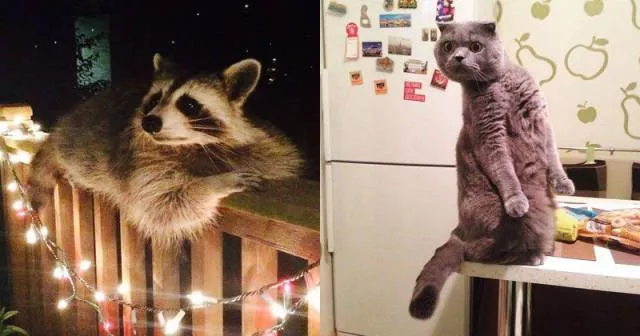 Picdump 54 - #27 