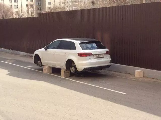 Picdump 54 - #53 
