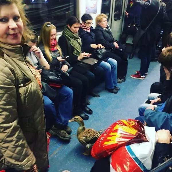 Picdump 54 - #60 