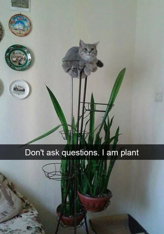 Picdump 290 - #19 