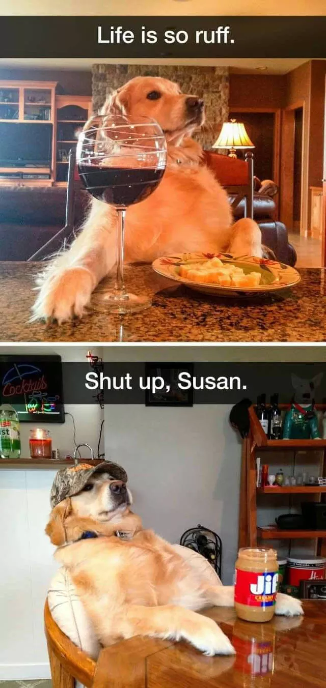 Picdump 290 - #38 