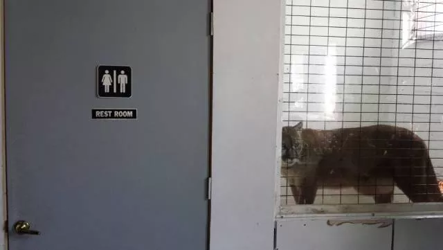 Compilation of unexplained wtf moments - #29 