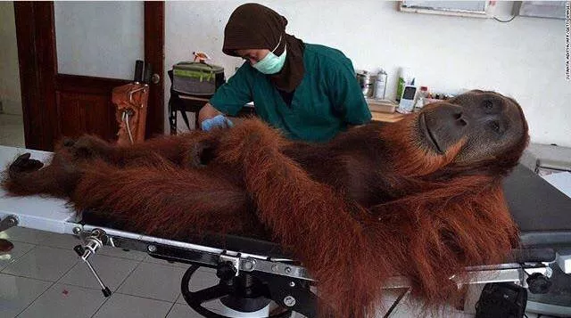 Picdump 291