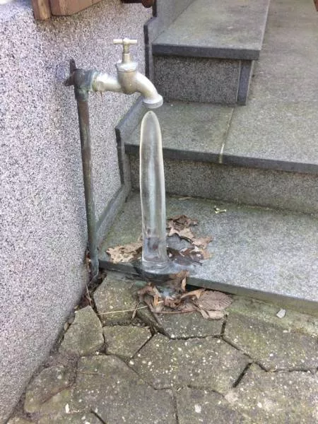 Picdump 291 - #16 