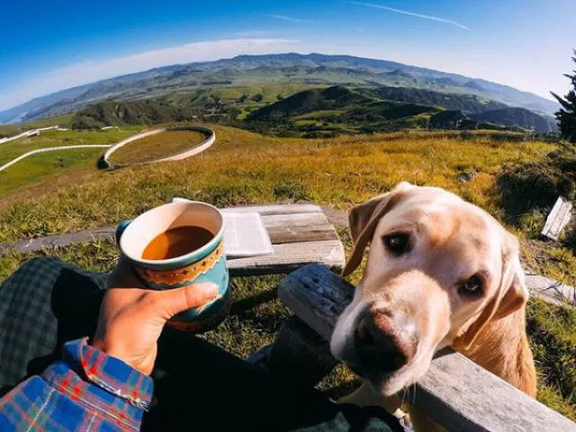 Les objets les plus insolites jamais vus - #11 