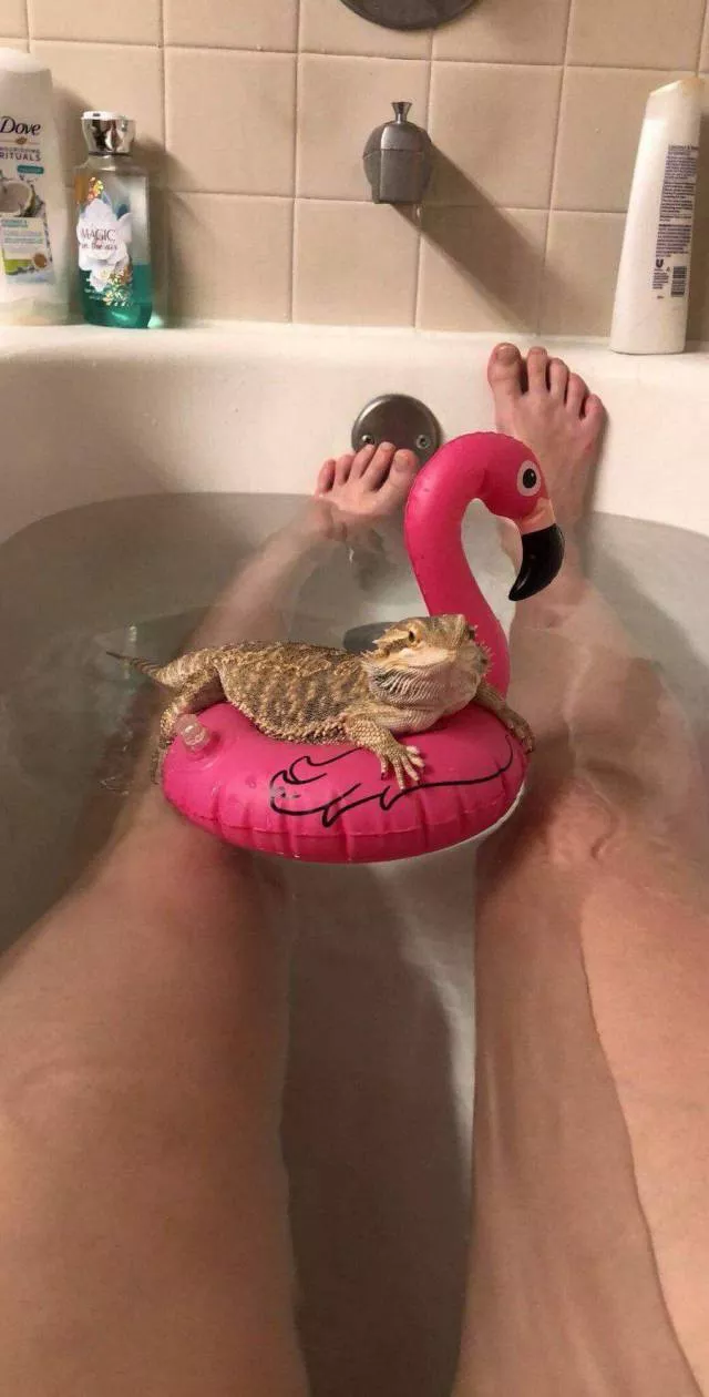 Picdump 292 - #19 
