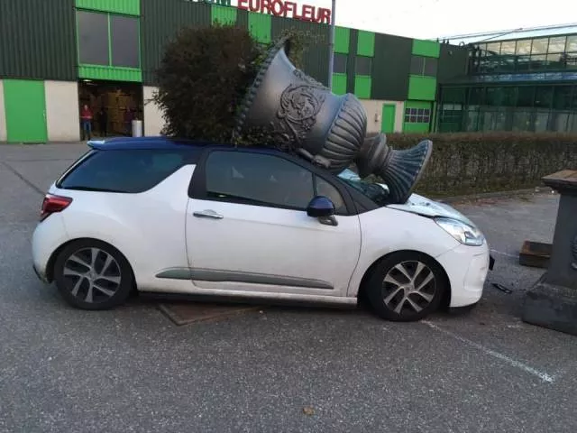 Picdump 292 - #20 