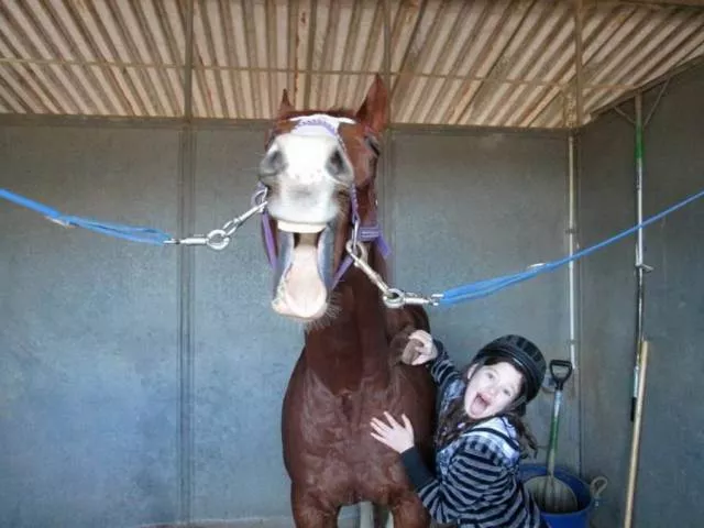 Picdump 292 - #22 