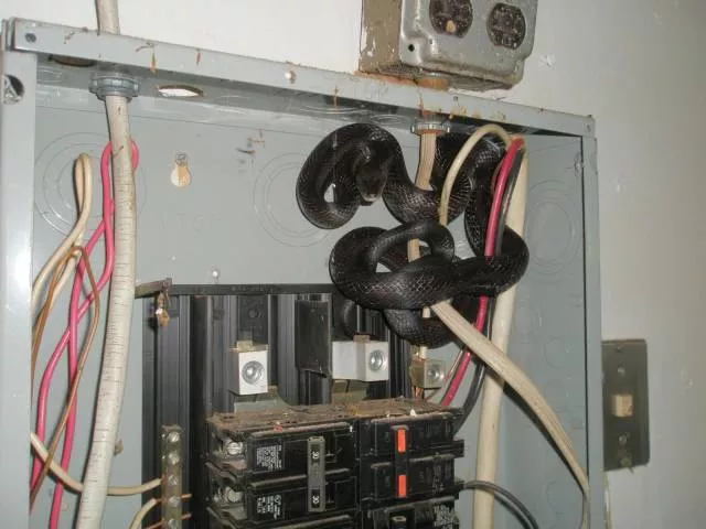 Picdump 292 - #3 