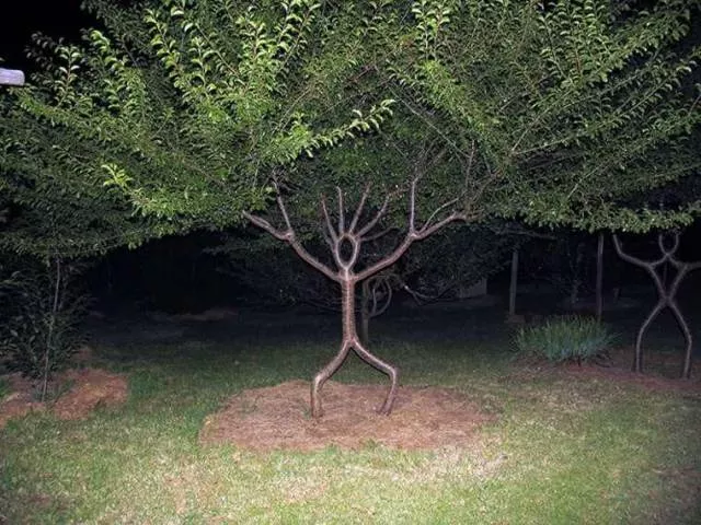 Picdump 292 - #32 