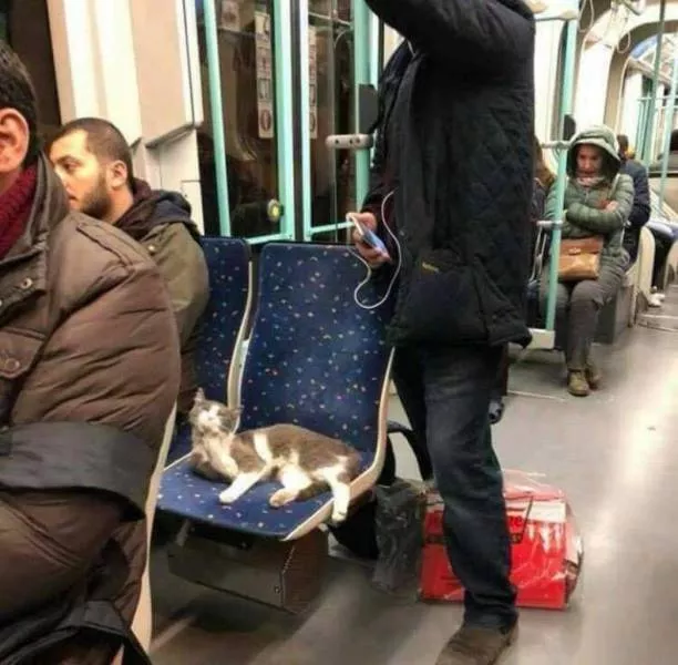 Picdump 292 - #36 