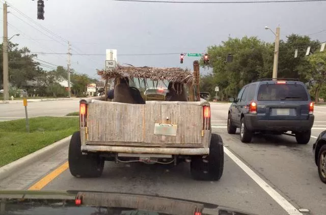 Picdump 292 - #40 