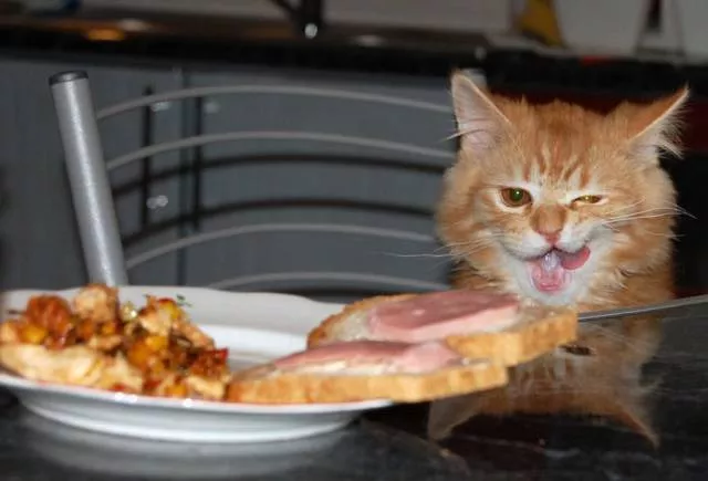 Picdump 292