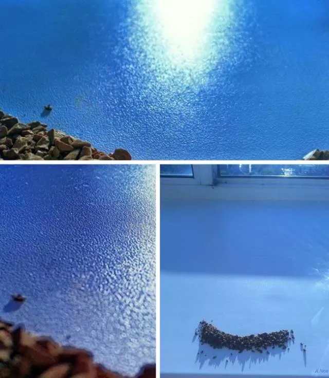 Optical illusions that require focus - #2 
