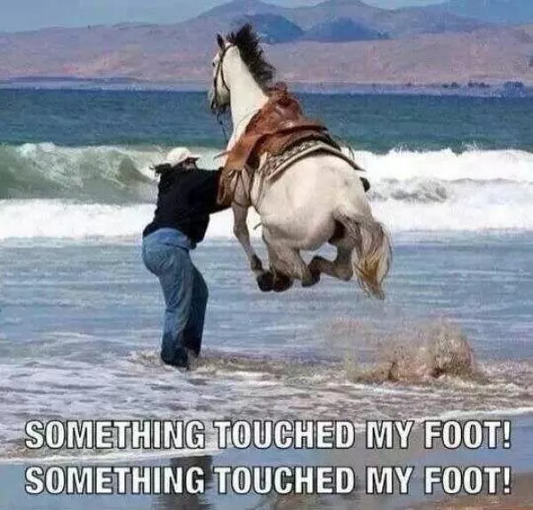 Picdump 55 - #15 