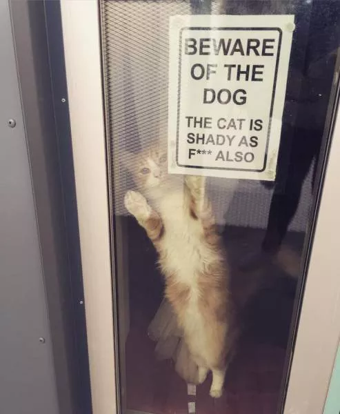 Picdump 55 - #21 