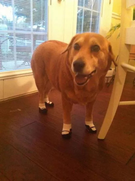 Picdump 55 - #4 