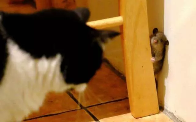 Picdump 55 - #45 