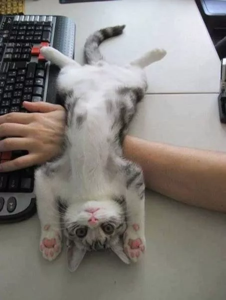 Picdump 55 - #52 