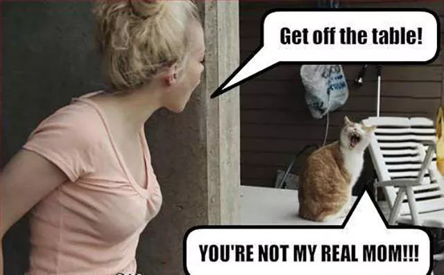 Picdump 55 - #55 