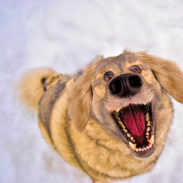 Picdump 55 - #70 