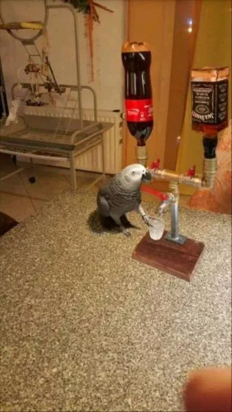 Picdump 293 - #22 