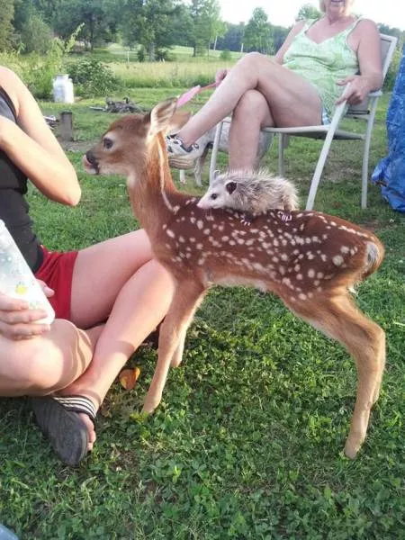 Picdump 294 - #11 