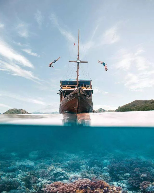 The best shots of the week - #11 
