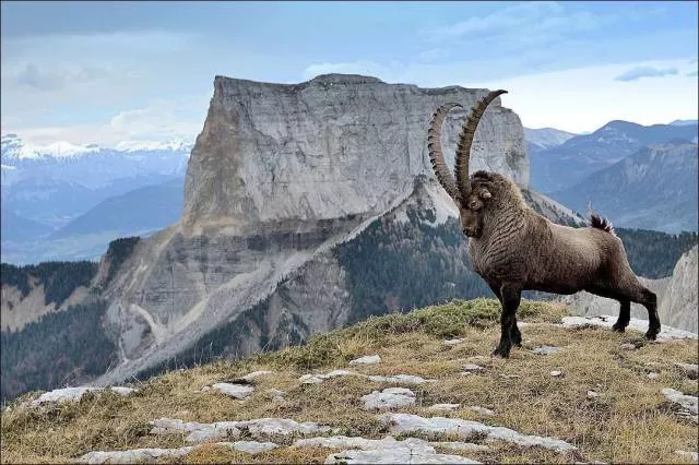 The best shots of the week - #25 