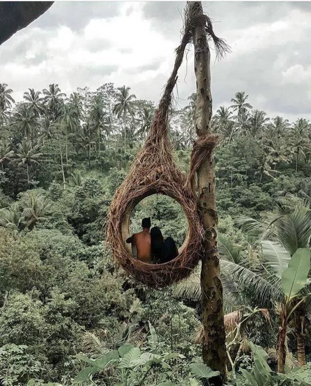 The best shots of the week - #26 