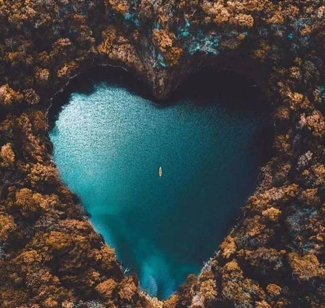 The best shots of the week - #29 