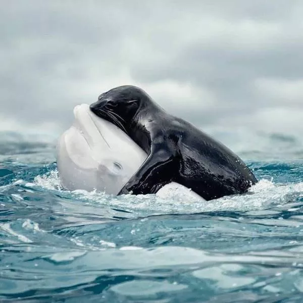 The best shots of the week - #36 