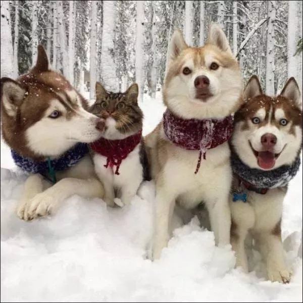 The best shots of the week - #38 