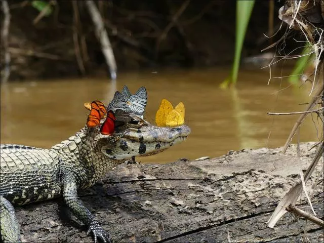 The best shots of the week - #50 