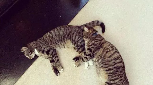 Picdump 295 - #26 