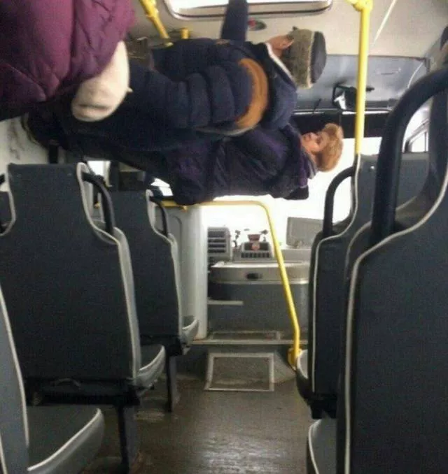 Picdump 295 - #36 
