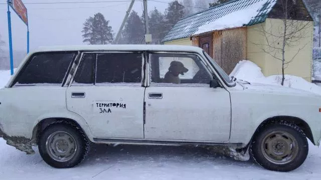 Picdump 295 - #66 