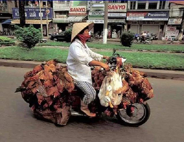 Unusual transportation around the world - #14 