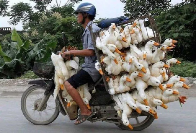 Unusual transportation around the world - #16 