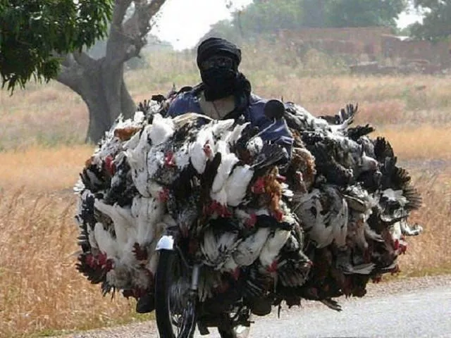 Unusual transportation around the world